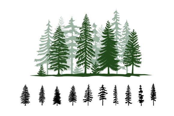 Download Pine Trees Silhouette - Pine trees Collection