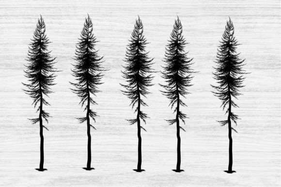 Download Pine Trees Silhouettes - Pine trees Collection