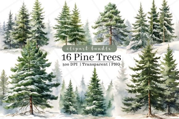 Download Pine Trees Watercolor Clipart - Pine trees Collection