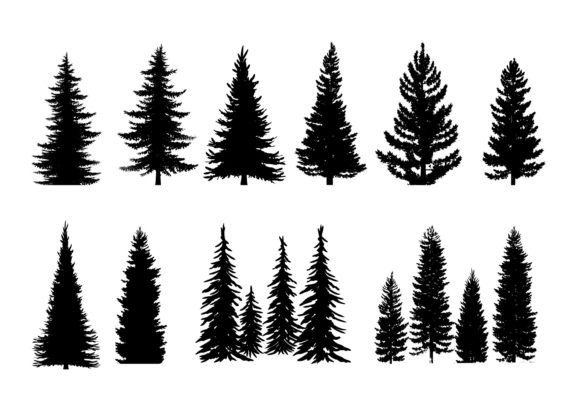 Download Set of 10 Pine Trees Silhouettes - Pine trees Collection